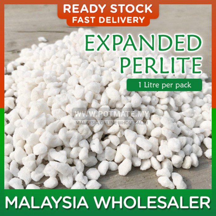 Expanded Perlite (1L) 60gram 3-7mm 60gram For Cactus & Succulents Planting Soil (Natural Expanded Volcanic Perlite) 