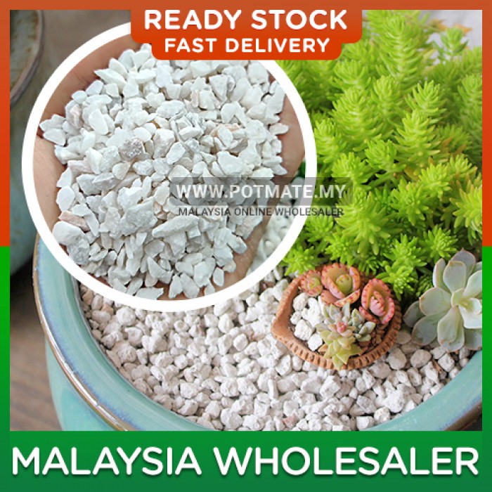 1KG Local White Chipping Pebble River Stone Decor Batu Hiasan Putih Refleksologi