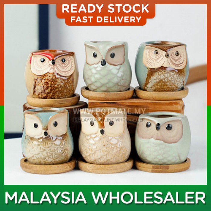 Ceramic Mini Cute Owl Succulent Pot Creative Animal Shape Flower Pot for Indoor Outdoor Decoration 