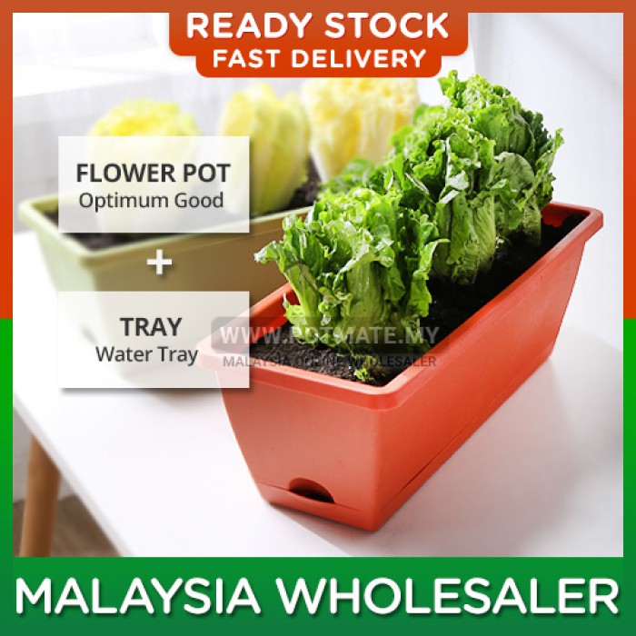 Medium - Flower Plastic Planter Pot Pasu Bunga Panjang Plastik Planter Box Gardening Tools for Indoor Outdoor