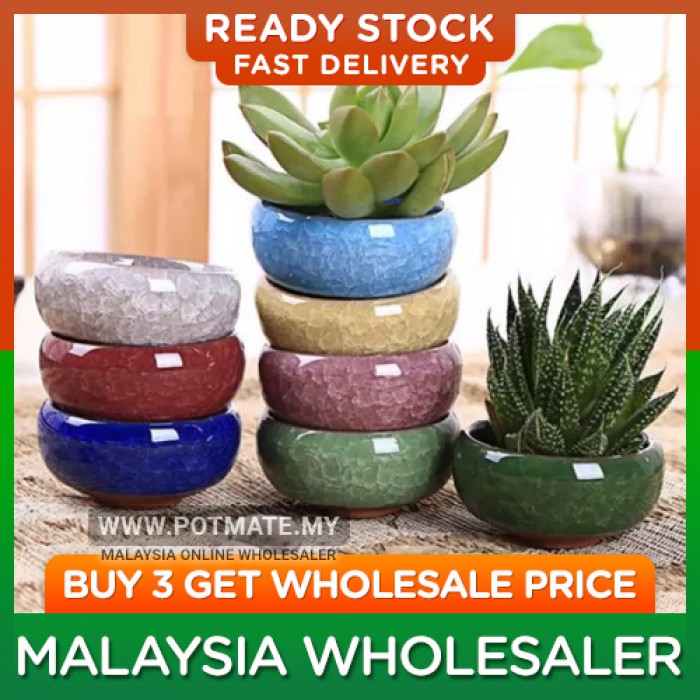 Ice-crack Glaze Succulent Flower Pot Porcelain Mini Pot Pots 6.5cm X 3.5cm Home And Garden Decoration